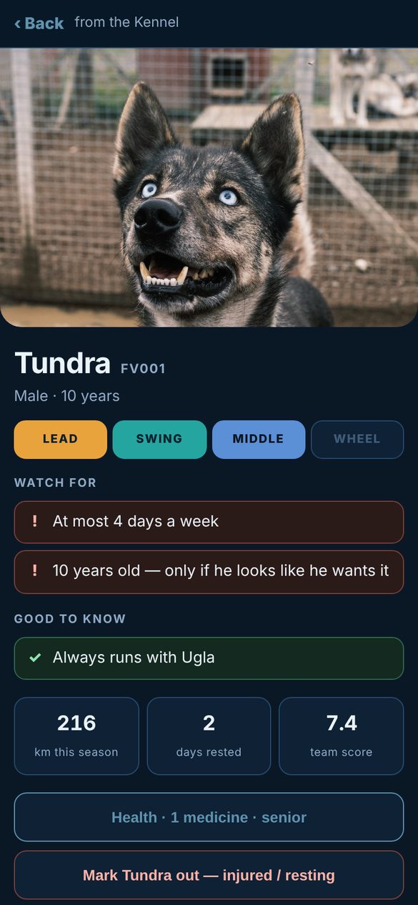 A page for every dog: Positions, what to watch for, km this season, rest days and health.