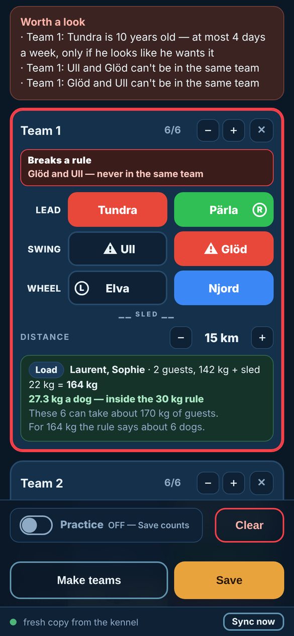 Teams, checked: Harness colours, L and R for side dogs, the guests' load per dog, and a red flag when two dogs who fight end up together.