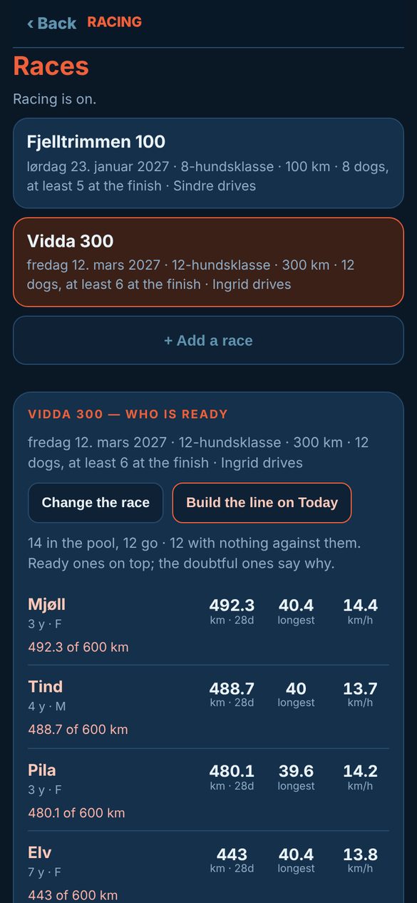 Who is ready for the race: Every dog in the race pool ranked: km in 28 days, longest run, pace.